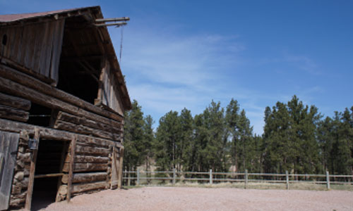 A rustic wooden barn with a forest in the background under a clear blue sky.