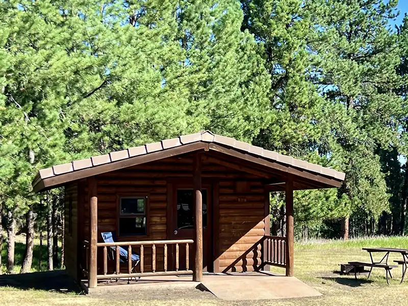 A small wooden cabin with a porch, set in a forested area with pine trees.